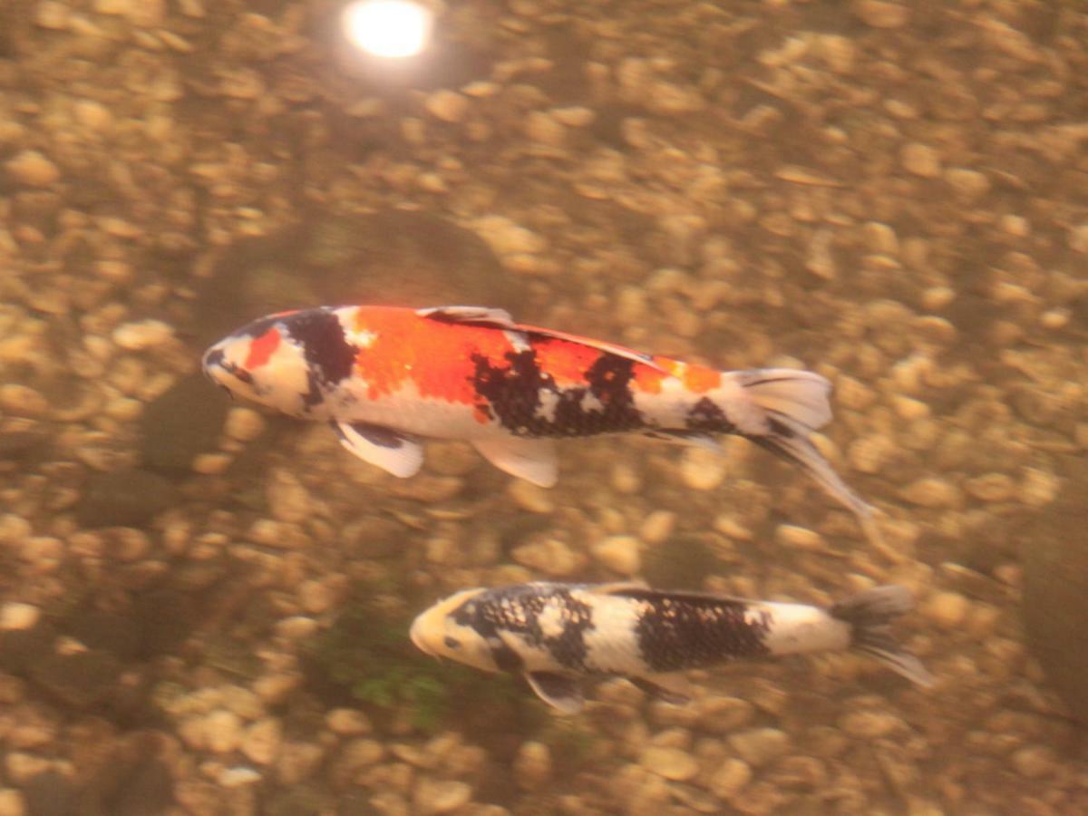 Hotel Yamashiro Onsen Miyabi No Yado Kaga Hyakumangoku Exteriér fotografie